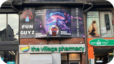 Funguyz-magic-mushrooms-toronto-church-st-2