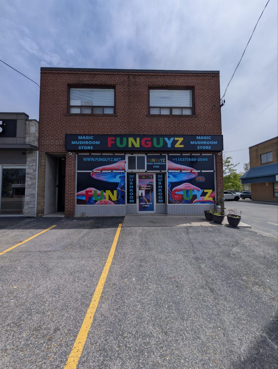 funguyz magic mushroom mississauga