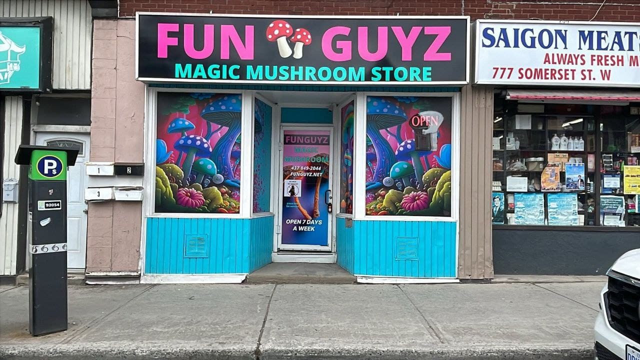 fun guyz magic mushroom ottawa fun guyz magic mushroom ottawa