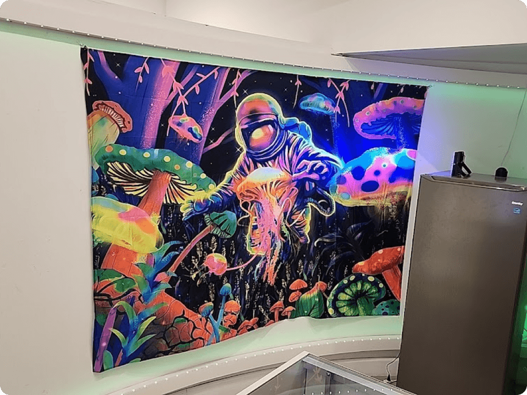 Closer shot of the space art on the walls at Funguyz magic mushroom dispensary on Danforth Avenue