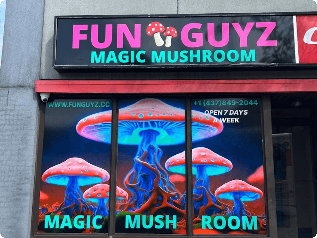 funguyz-magic-mushrooms-dispensary-ottawa-montreal-road-1 The main entrance to Funguyz magic mushrooms dispensary in Ottawa on Montreal Road