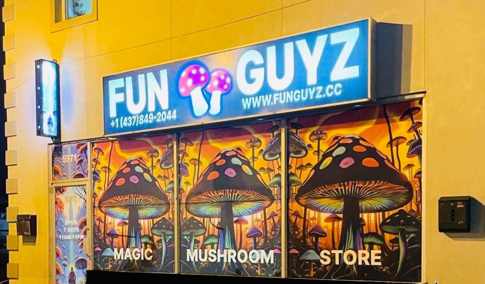 funguyz-niagara-falls-magic-mushrooms