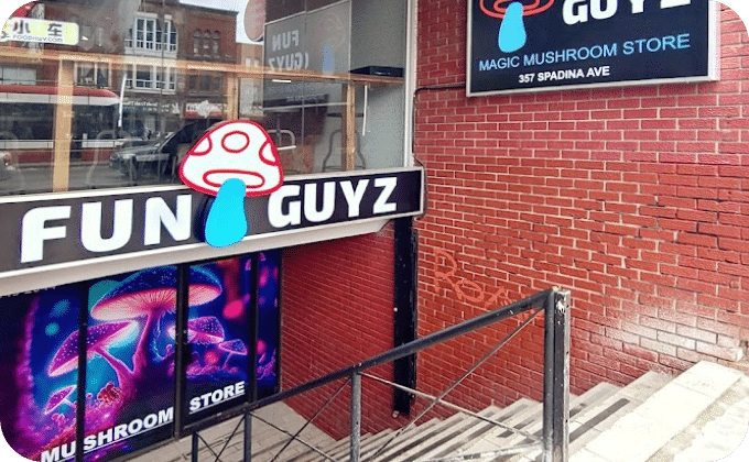 funguyz-spadina-ave-magic-mushrooms