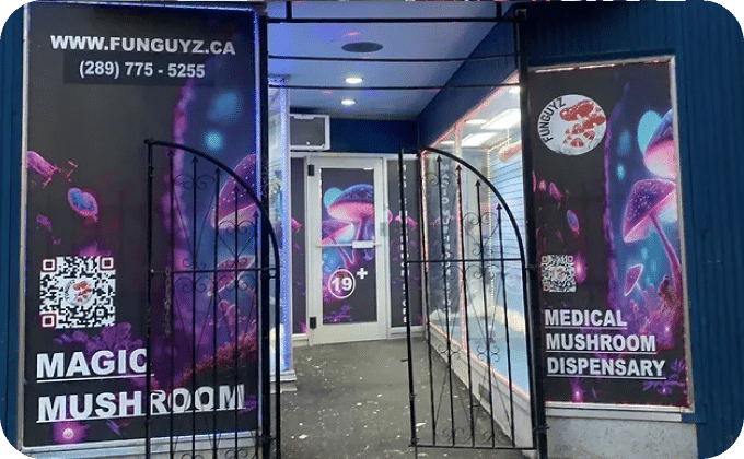 funguyz-st.catharines-magic-mushrooms